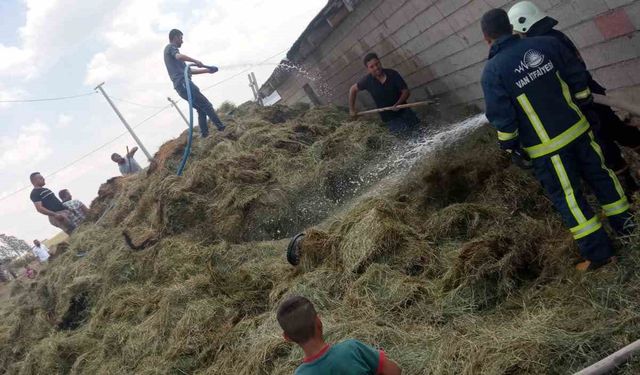 Özalp’te bin bağ ot yandı