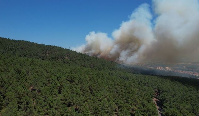Pendik Aydos Ormanı’ndaki yangın havadan görüntülendi