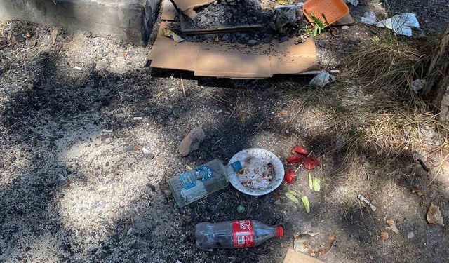 Piknikçiler çevreye attığı çöpler tepkilere neden oluyor