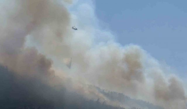 Rüzgarın etkili olduğu orman yangınında ekip sayıları artırıldı