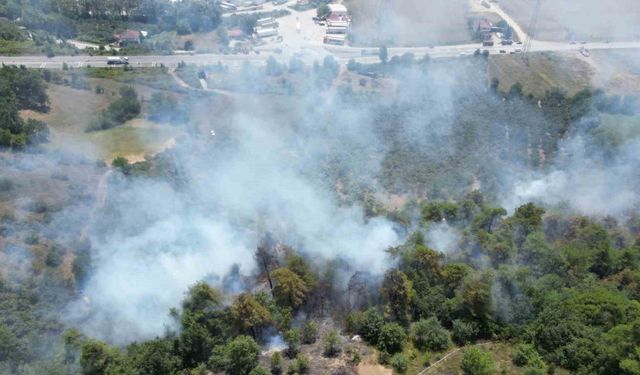 Sakarya’da çıkan orman yangını havadan görüntülendi