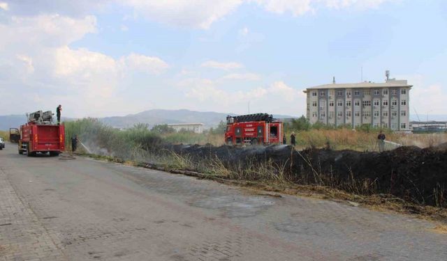 Sazlık alanda çıkan yangın itfaiyenin müdahalesiyle söndürüldü