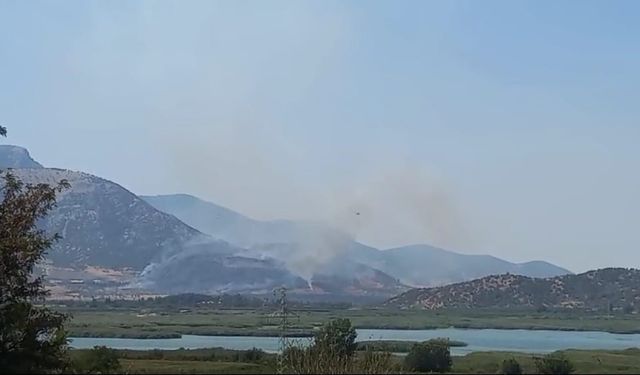 Selçuk’taki orman yangını kontrol altında