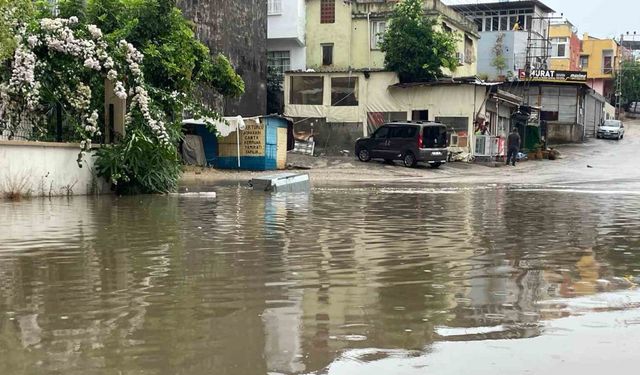 Şiddetli yağmur ve rüzgar ağaçları kökünden söktü, vinci devirdi