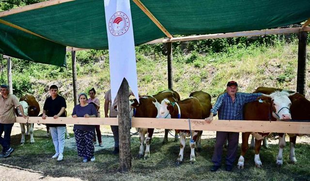 Sinop’ta 265 köylüye 40 milyon TL ferdi kredi desteği