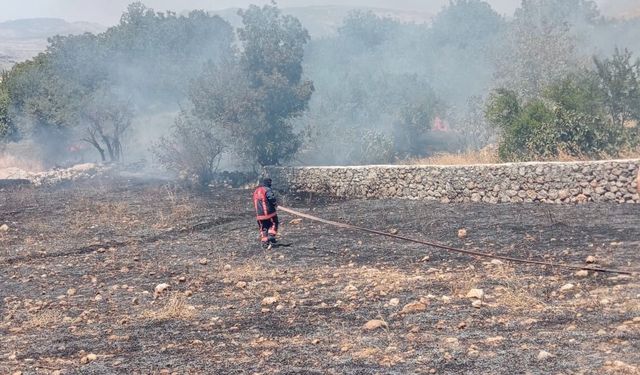 Şırnak’ta örtü yangını