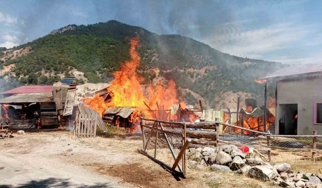 Sivas’ta korkutan yangın: 2 samanlık ve 2 ahır yandı