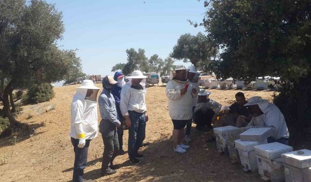 Söke’de Arıcılık Kursu uygulama eğitimleri sürüyor