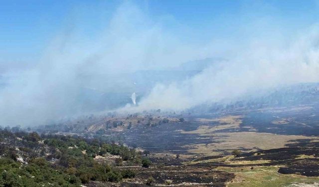 Soma’daki orman yangınında bir mahalle tahliye edildi