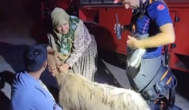 Su kuyusuna düşen keçi kurtarıldı