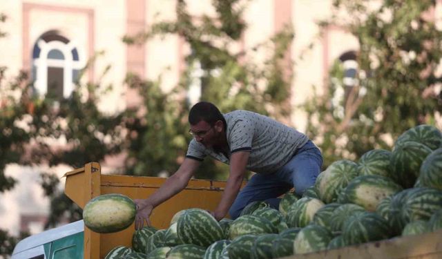 Tarlada kalan karpuz, Bursalılara ücretsiz dağıtıldı