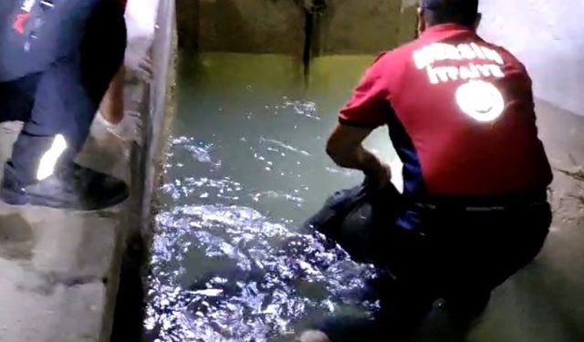 Tarsus’ta sulama kanalında erkek cesedi bulundu