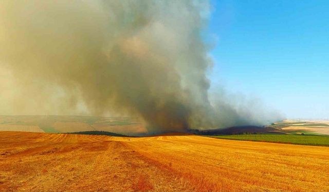 Tekirdağ’da bin 500 dönümlük alan yandı: 1 yaralı