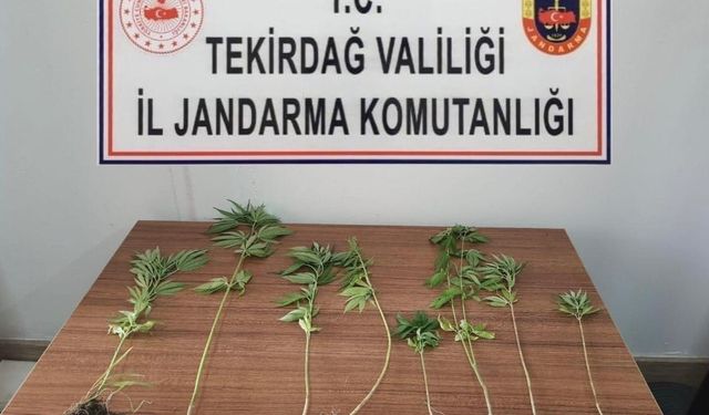 Tekirdağ’da uyuşturucu operasyonları: 8 kişi yakalandı