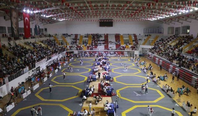 Tekvando Türkiye Şampiyonası, Sivas’ta başladı