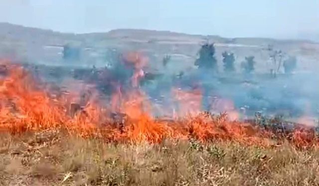 Tunceli’deki arazi yangını söndürüldü