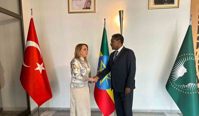 Türkiye ile Etiyopya arasında sağlık işbirliği geliştirilecek