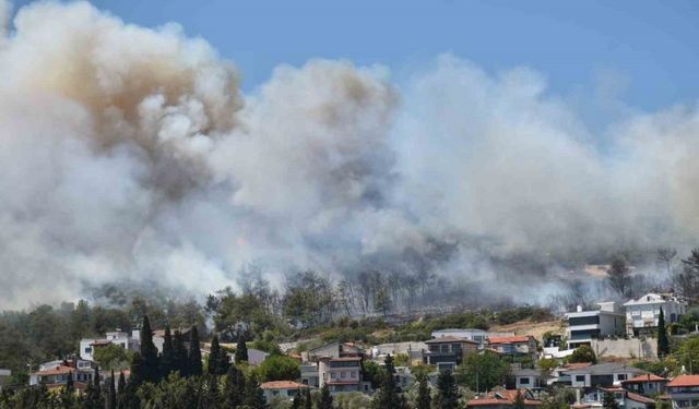 Urla ve Çeşme’de orman yangını