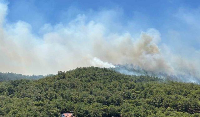 Urla’daki orman yangınında 120 konut tahliye edildi