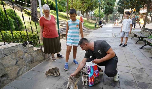 Üsküdar Belediyesinden sokak hayvanlarına her ay 2 ton mama yardımı