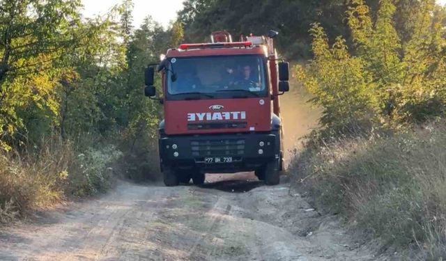 Yalova’da mangal yangına sebep oldu