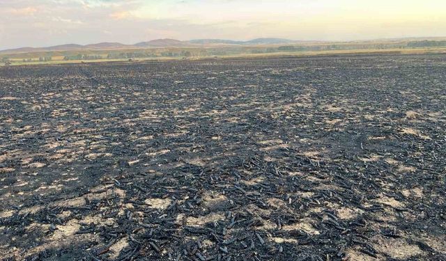 Yozgat’ta bin dönüm buğday ekili alanda yangın çıktı
