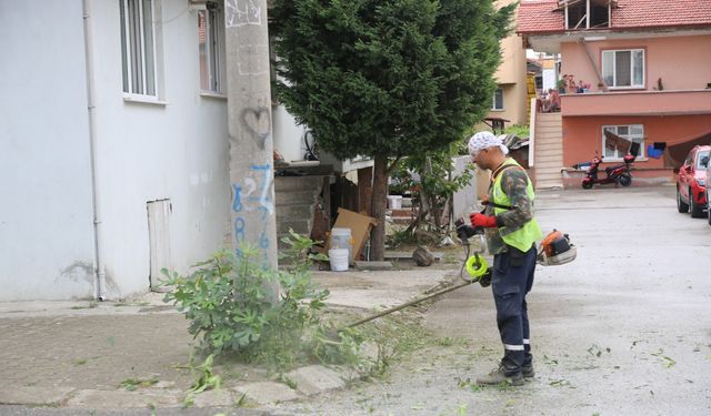 Serdivan’da Yaz Bakımı Devam Ediyor