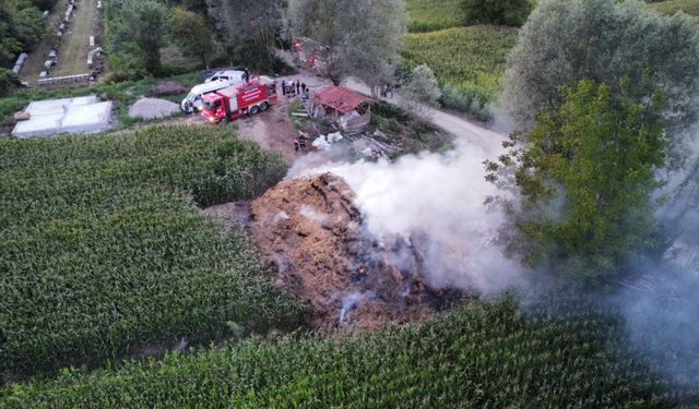 Çocukların kibritle oyunu yangına sebep oldu: 990 balya saman kül oldu