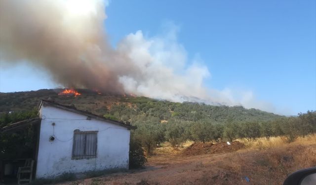 Balıkesir'de çıkan orman yangınına müdahale ediliyor