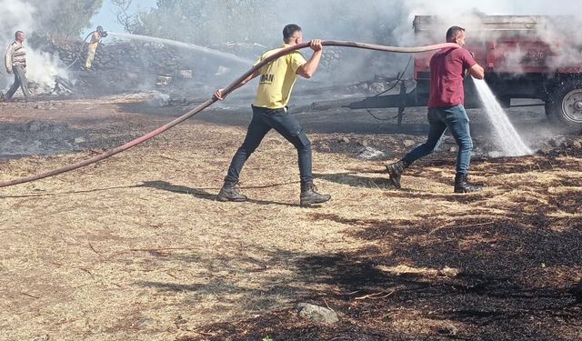 Balıkesir'de makilik alanda etkili olan yangın söndürüldü