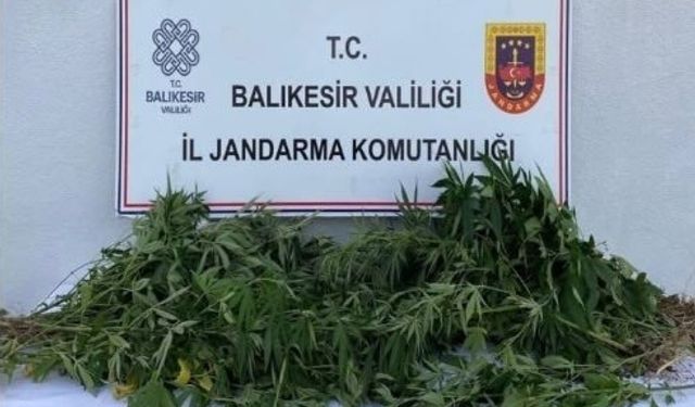 Balıkesir’de uyuşturucu operasyonlarında 4 şüpheli yakalandı