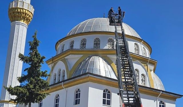 Balıkesir'de yaralı bulunan leylek tedavi ediliyor