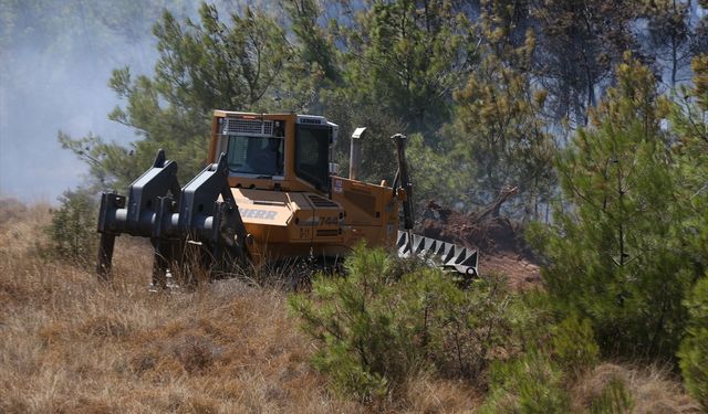 Bozcaada'da tarım arazisinde çıkan yangına müdahale ediliyor