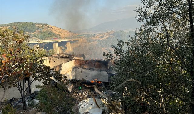 Bursa'da barakadan zeytinliğe sıçrayan yangın söndürüldü