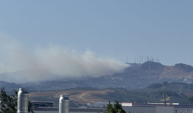 Bursa'da çıkan orman yangınına müdahale ediliyor