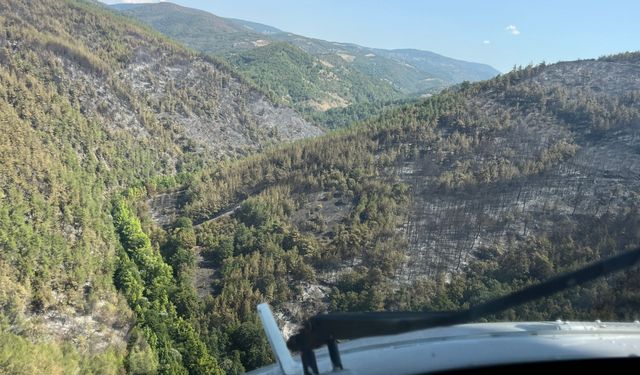 Bursa'da ormanlık alanda çıkan yangın kontrol altına alındı