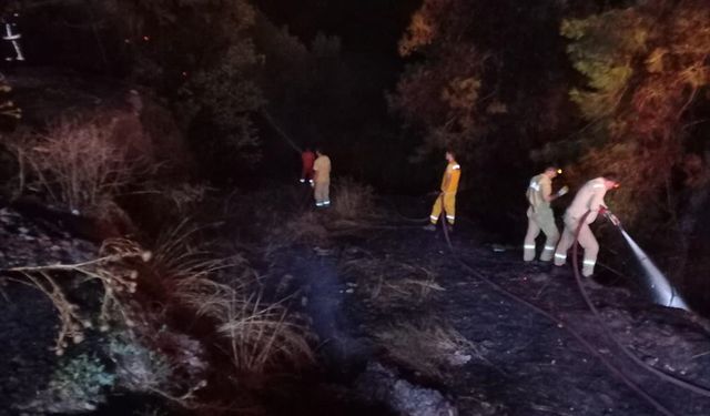 Bursa'nın Kestel ilçesinde çıkan orman yangını kontrol altına alındı