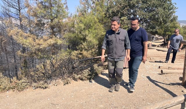 Çanakkale Savaşları Gelibolu Tarihi Alanı'nda yangından zarar gören bölge doğal görünümüne kavuşturulacak