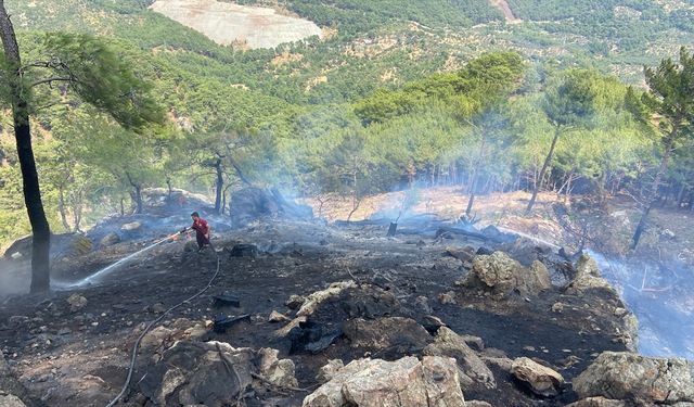 Çanakkale'de ormanlık alanda çıkan yangın kontrol altına alındı