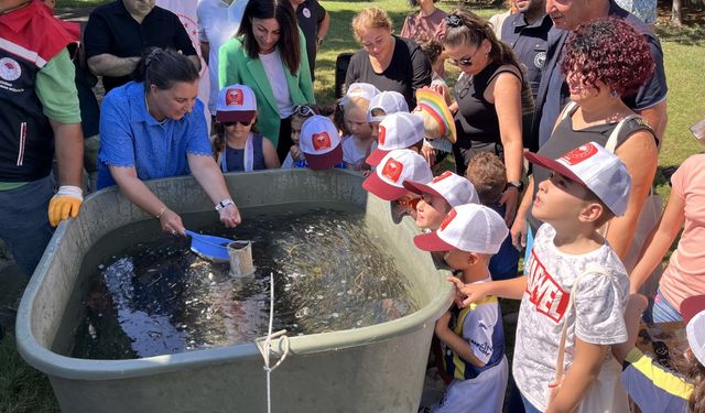 Çanakkale'deki baraj ve göletlere 1 milyon 750 bin sazan yavrusu bırakıldı