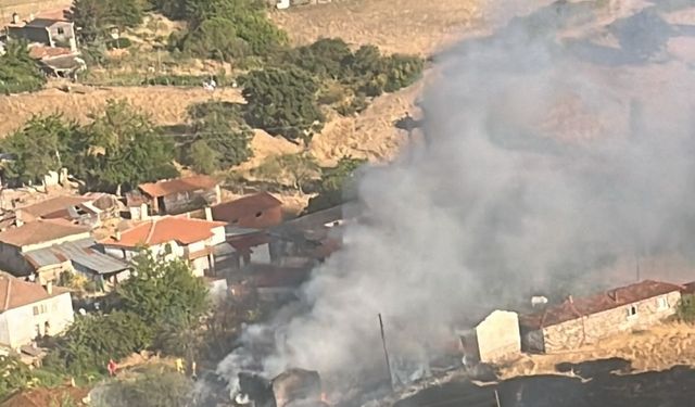 Çanakkale'nin Bayramiç ilçesinde çıkan arazi yangını kontrol altına alındı