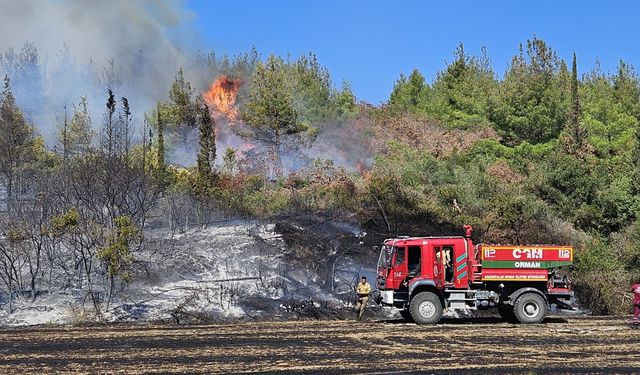 Çanakkale'nin Eceabat ilçesindeki orman yangınına müdahale ediliyor