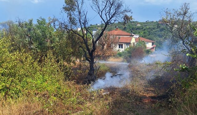 Çınarcık'ta zeytinlik alanda çıkan yangın söndürüldü