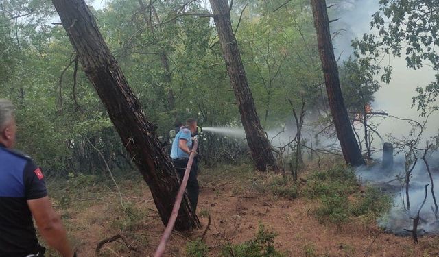 Edirne'de çıkan orman yangını söndürüldü