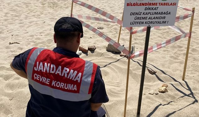 Edirne'de jandarma denetim ve bilgilendirme çalışması yaptı