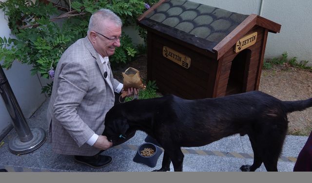 Edremit Belediye Başkanı Ertaş, bir köpeği sahiplendi