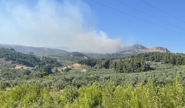 GÜNCELLEME 2 - Bursa'da çıkan orman yangını kontrol altına alındı