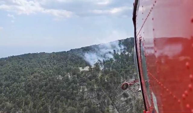 GÜNCELLEME - Kazdağları Milli Parkı'nda çıkan yangın kontrol altına alındı