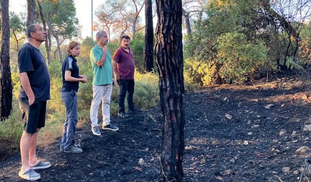 Heybeliada'da ormanlık alanda çıkan yangın kontrol altına alındı