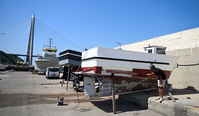 İstanbul'da balıkçılar yeni sezonda palamut bolluğu bekliyor